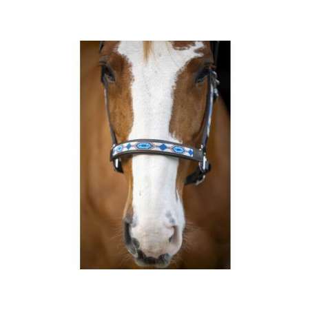 LJ Pearl Galaxy Headcollar