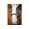 LJ Pearl Galaxy Headcollar