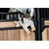 Relax Horse Toy Unicorn Fantasy