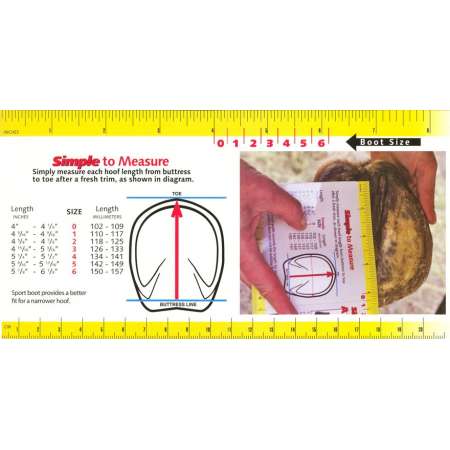 Hipposandale Sport Regular