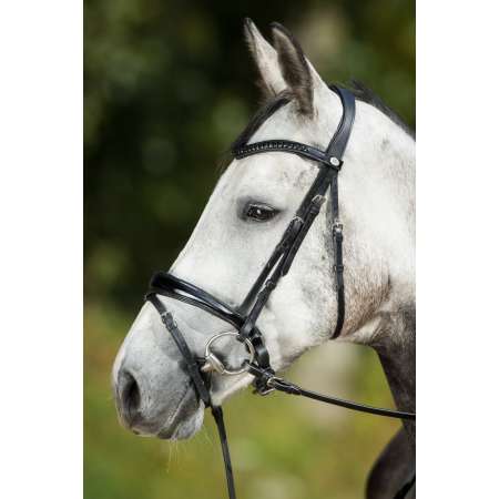 Bridle Luxe