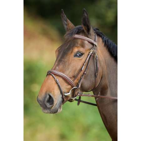 "Comfort" Bridle