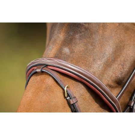 "Comfort" Bridle