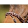 "Comfort" Bridle