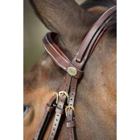 "Comfort" Bridle