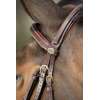 "Comfort" Bridle