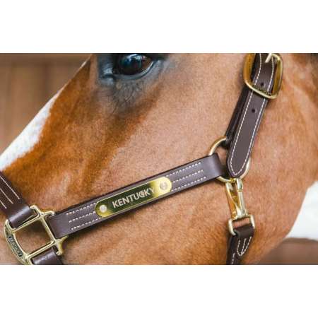 Leather Halter Wellington