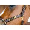 Leather Halter Wellington
