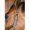 Leather Halter Wellington