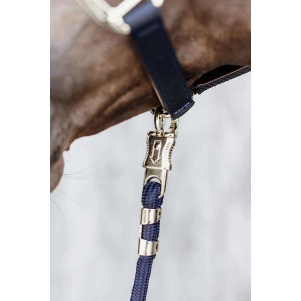 Lead Rope Panic Hook 2M