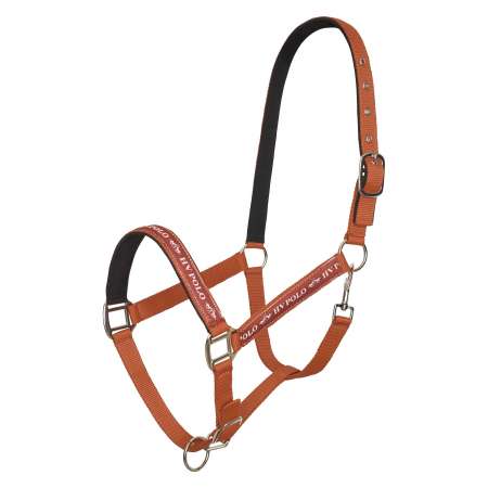 HVPNena Headcollar