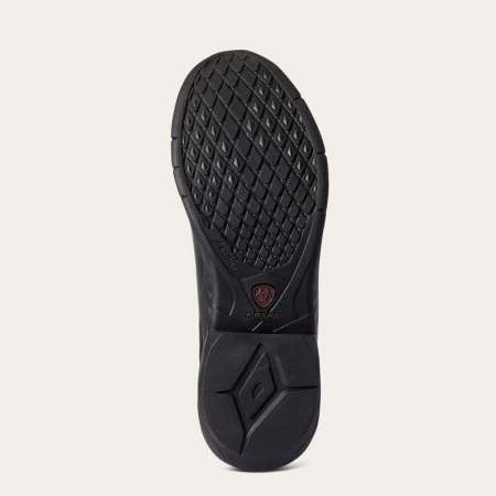 Boots Ascent Waterproof Paddock