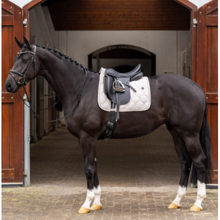 copy of HVPDana Dressage Saddlepad