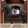 copy of HVPDana Dressage Saddlepad