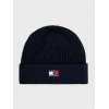 TH ALaska Flag Beanie