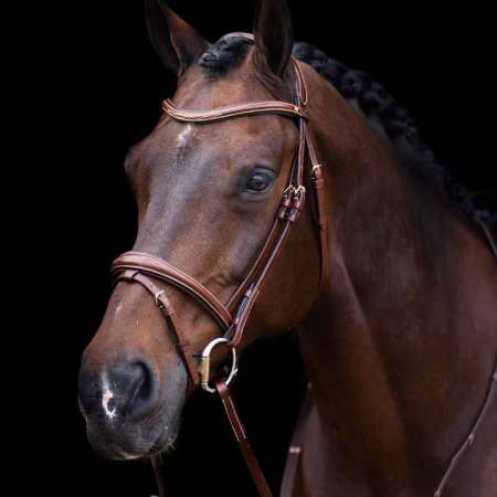 HVPLegacy Bridle