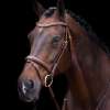 HVPLegacy Bridle