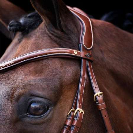 HVPLegacy Bridle