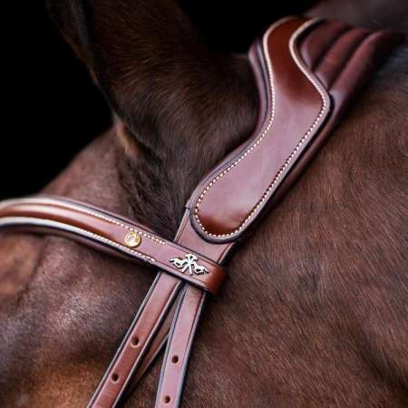 HVPLegacy Bridle