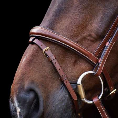HVPLegacy Bridle