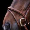 HVPLegacy Bridle