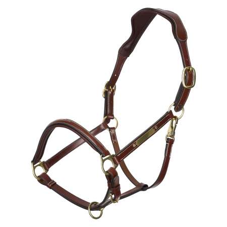 HVPLegacy Headcollar