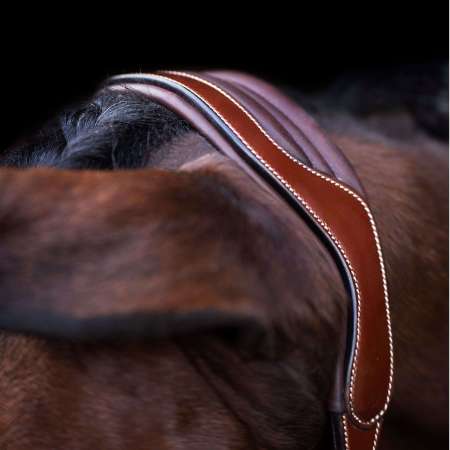 HVPLegacy Headcollar