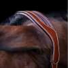 HVPLegacy Headcollar