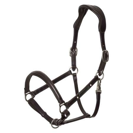 HVPLegacy Headcollar