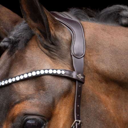 Bridon sans Mors HVPLegacy
