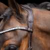 Bridon sans Mors HVPLegacy