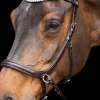 Bridon sans Mors HVPLegacy