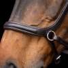 Bridon sans Mors HVPLegacy