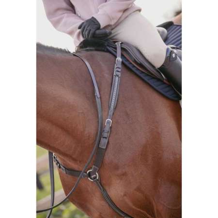 PENELOPE Martin Collar
