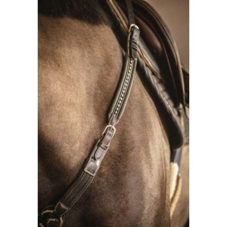 PENELOPE Martin Collar