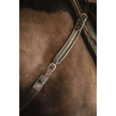 PENELOPE Martin Collar