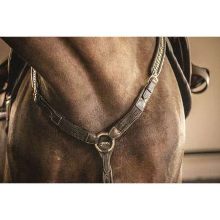 PENELOPE Martin Collar