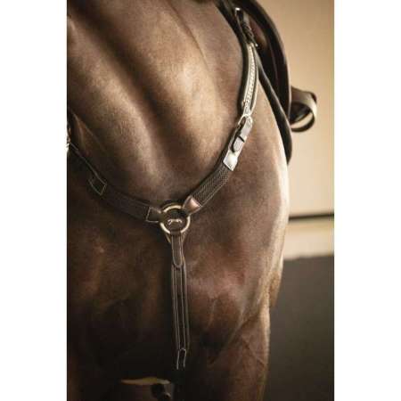 PENELOPE Martin Collar