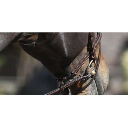 Equipro Bridle