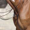 Martingale Equipro