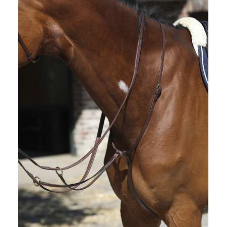 Equipro Martingale