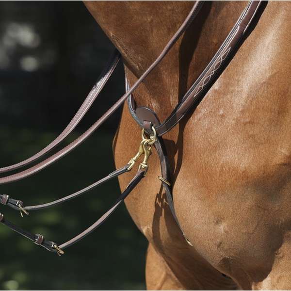 Collier de Chasse Equipro