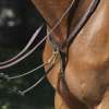 Equipro Breastplate