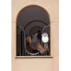 Penguin Heritage Horse Toy