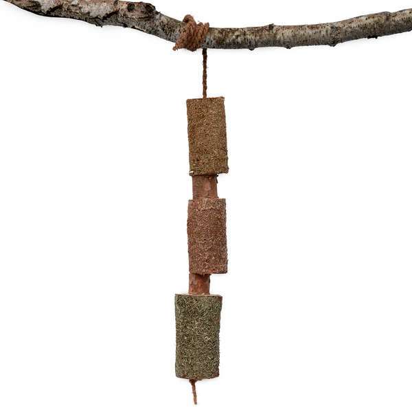 Natuurlijk houten kauwstaafje - Immuno