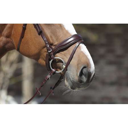 Masters Dressage Bridle