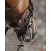 Masters Dressage Bridle