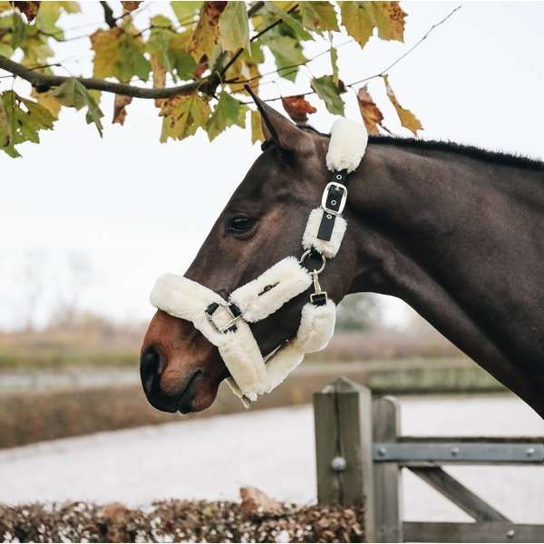 Sheepskin Shipping Halter