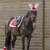Christmas saddle pad