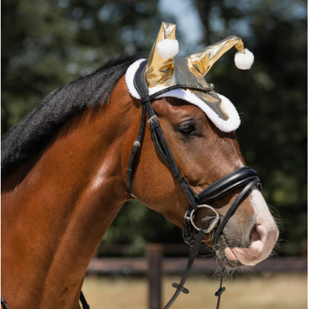 Bonnet Santa
